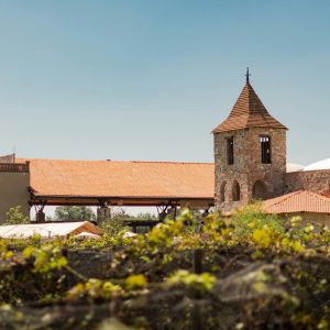 Sabores y Viñedos de Tequisquiapan
